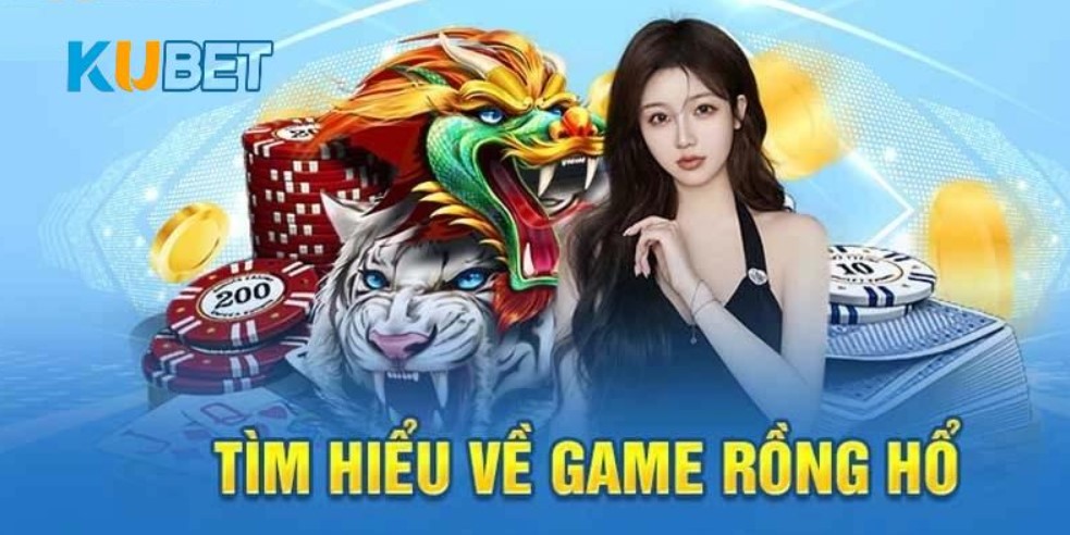 rồng hổ kubet