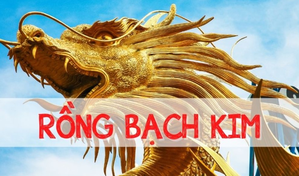 Những điều cần biết về soi cầu rồng bạch kim từ cao thủ kubet