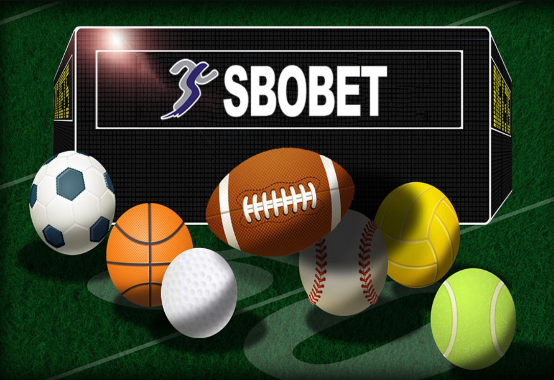 SBOBET kubet thiên đường cá cược